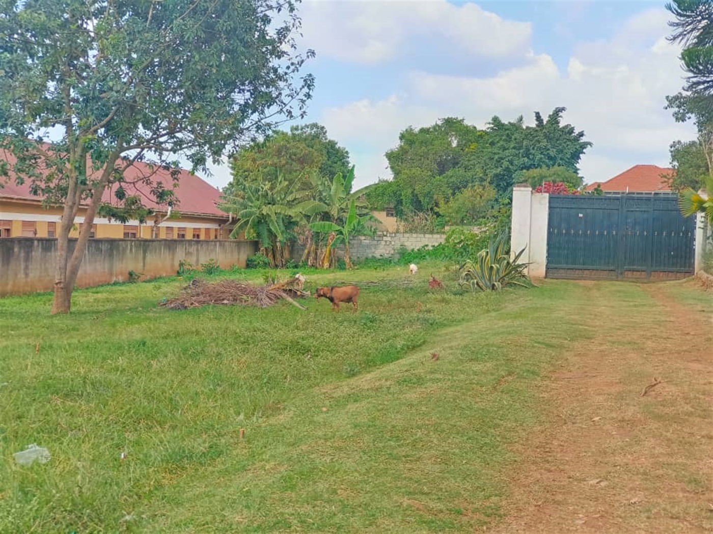 Commercial land for sale in Kulambilo Wakiso Uganda