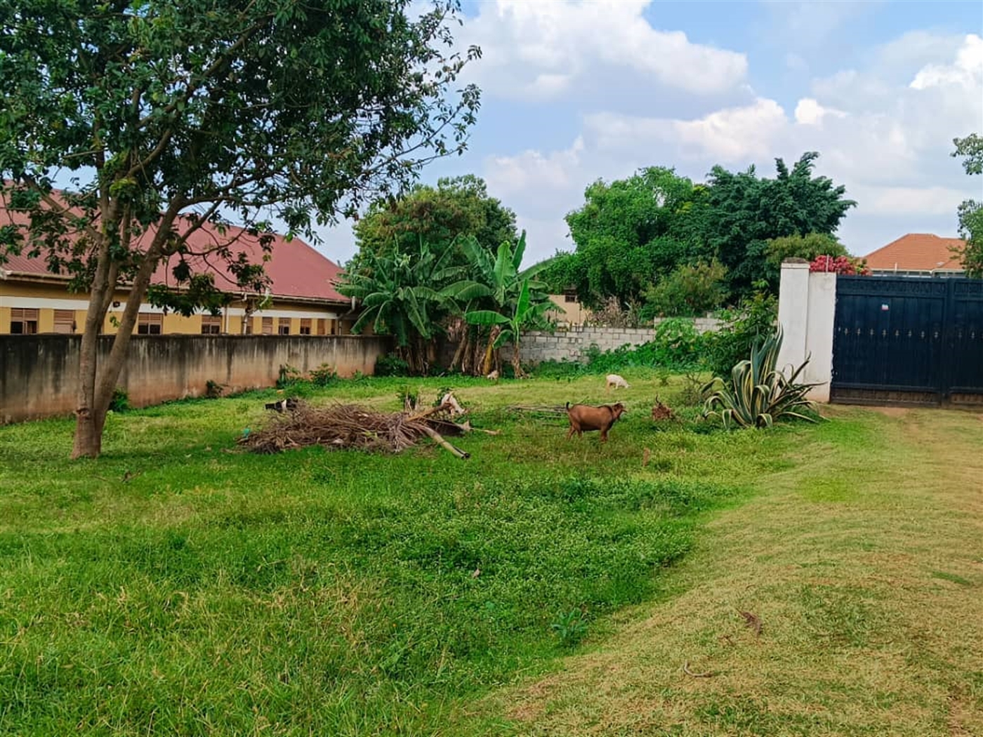 Commercial land for sale in Kulambilo Wakiso Uganda