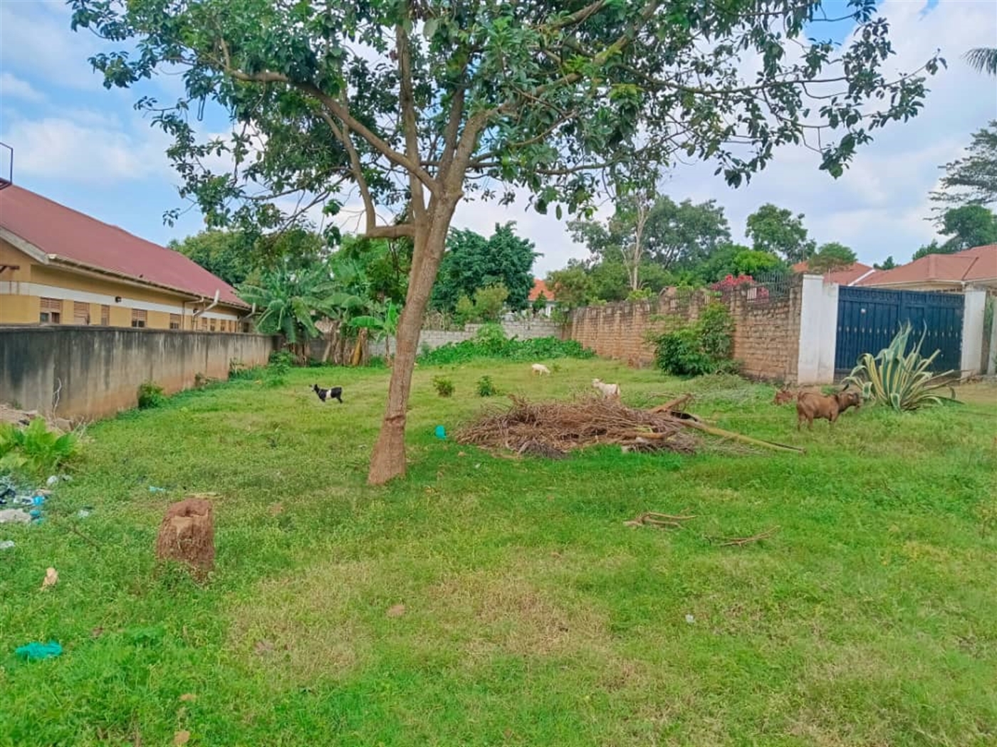 Commercial land for sale in Kulambilo Wakiso Uganda