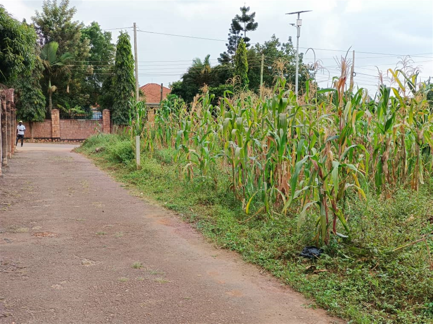 Commercial land for sale in Kulambilo Kampala Uganda