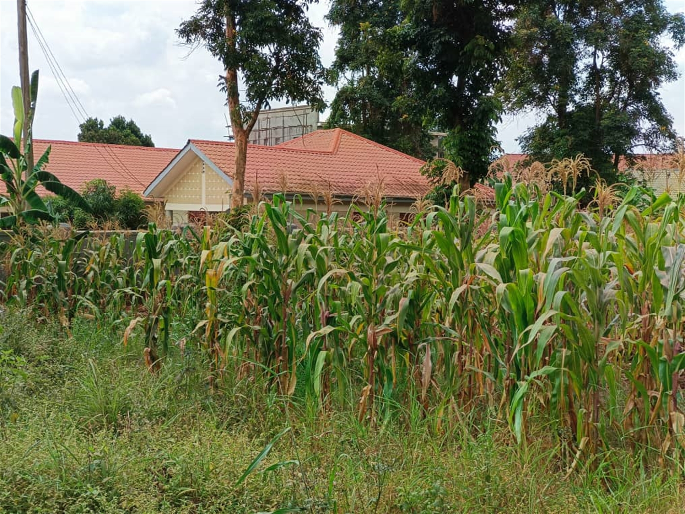 Commercial land for sale in Kulambilo Kampala Uganda
