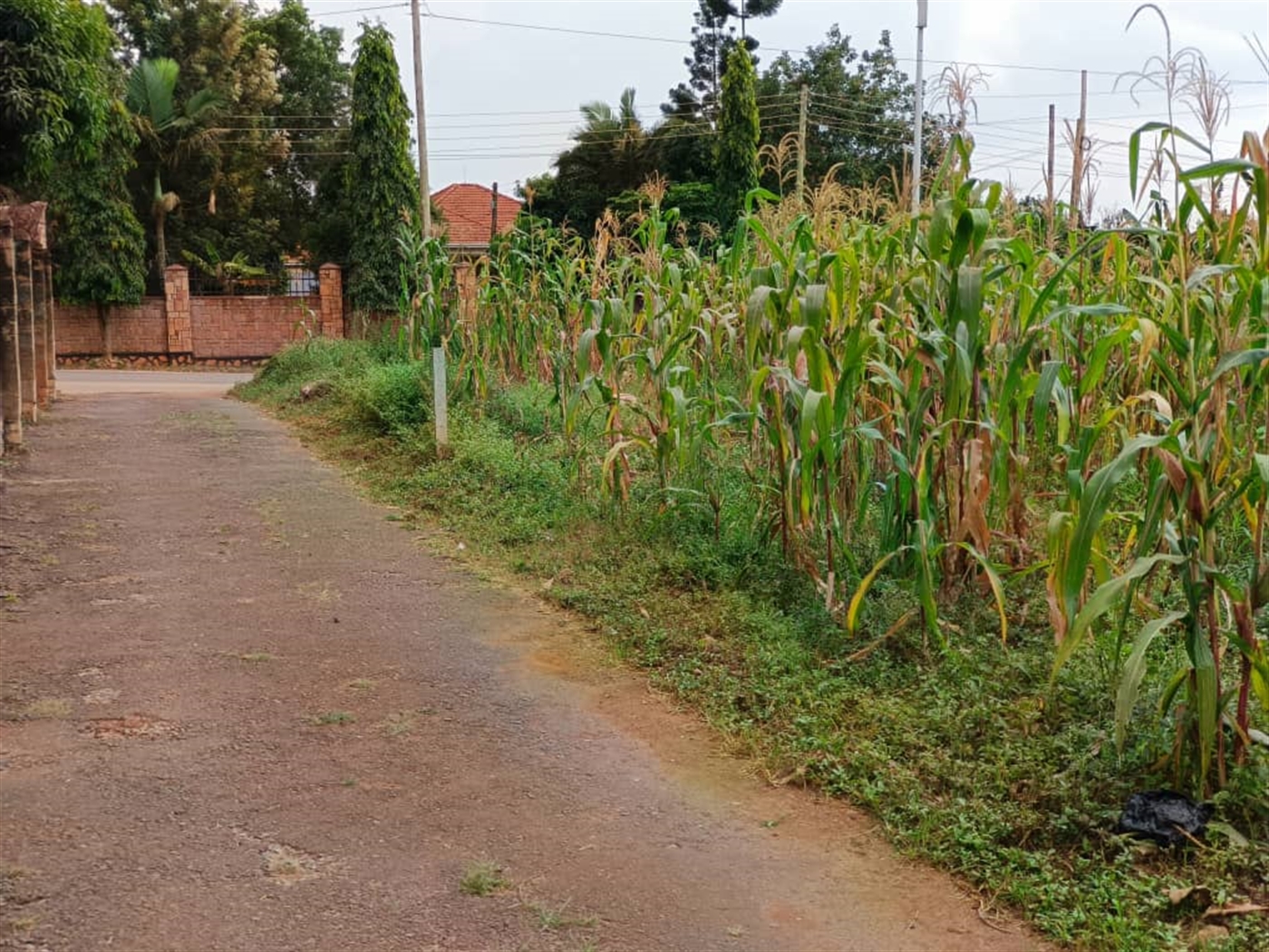 Commercial land for sale in Kulambilo Kampala Uganda