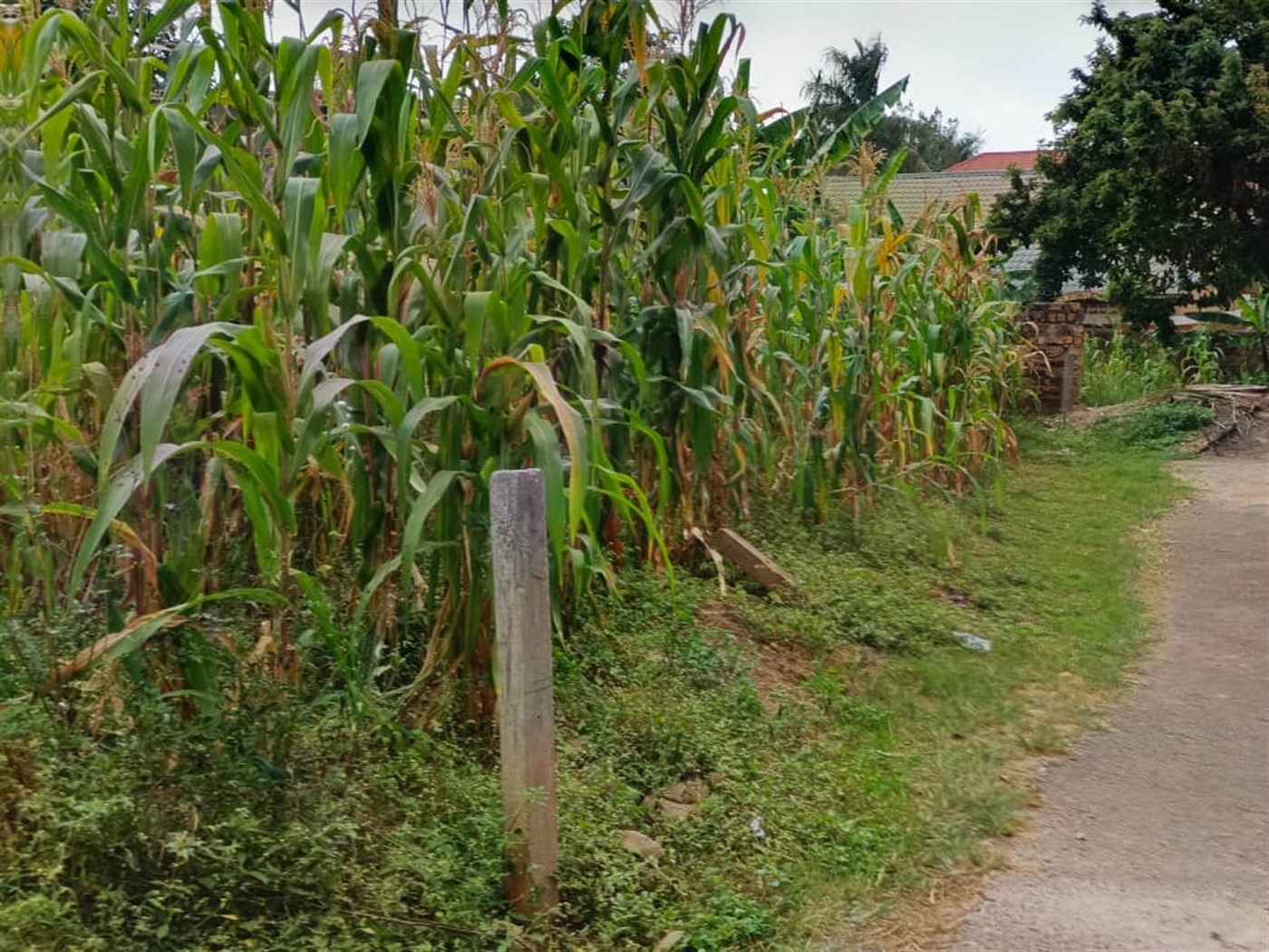 Commercial land for sale in Kulambilo Kampala Uganda