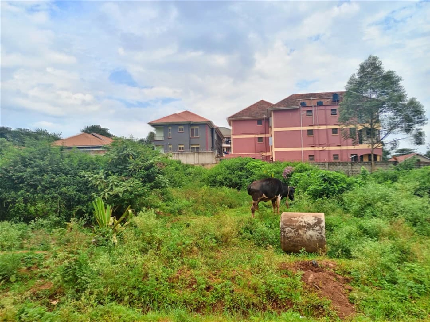 Commercial land for sale in Kyaliwajjala Wakiso Uganda