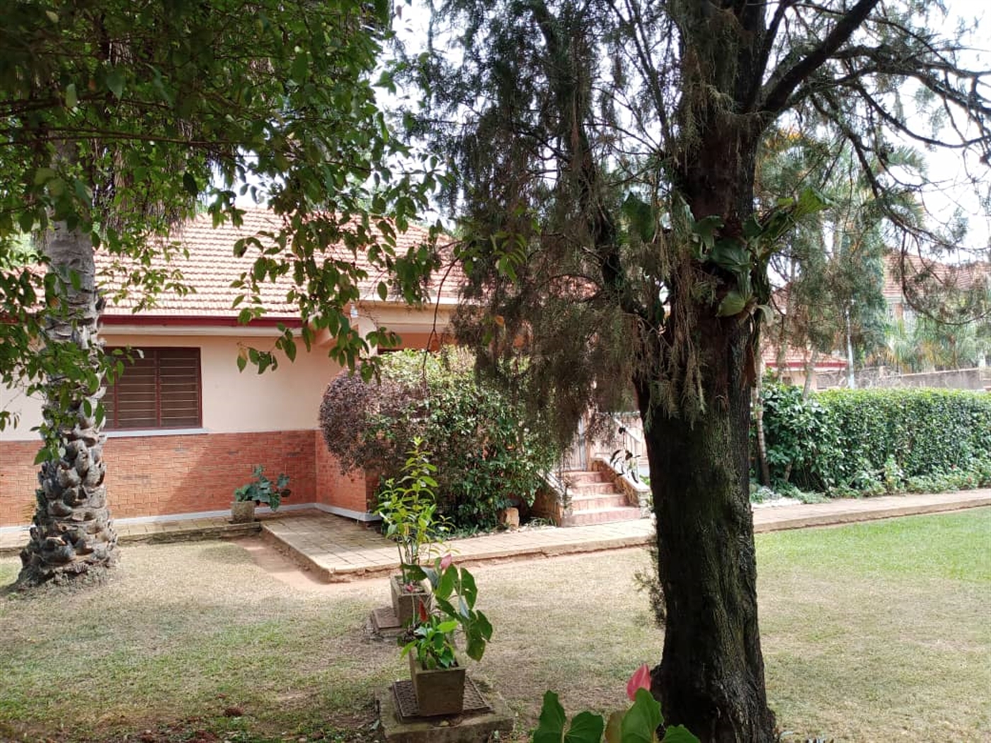 3 bedroom Bungalow for rent in Muyenga Kampala Uganda,