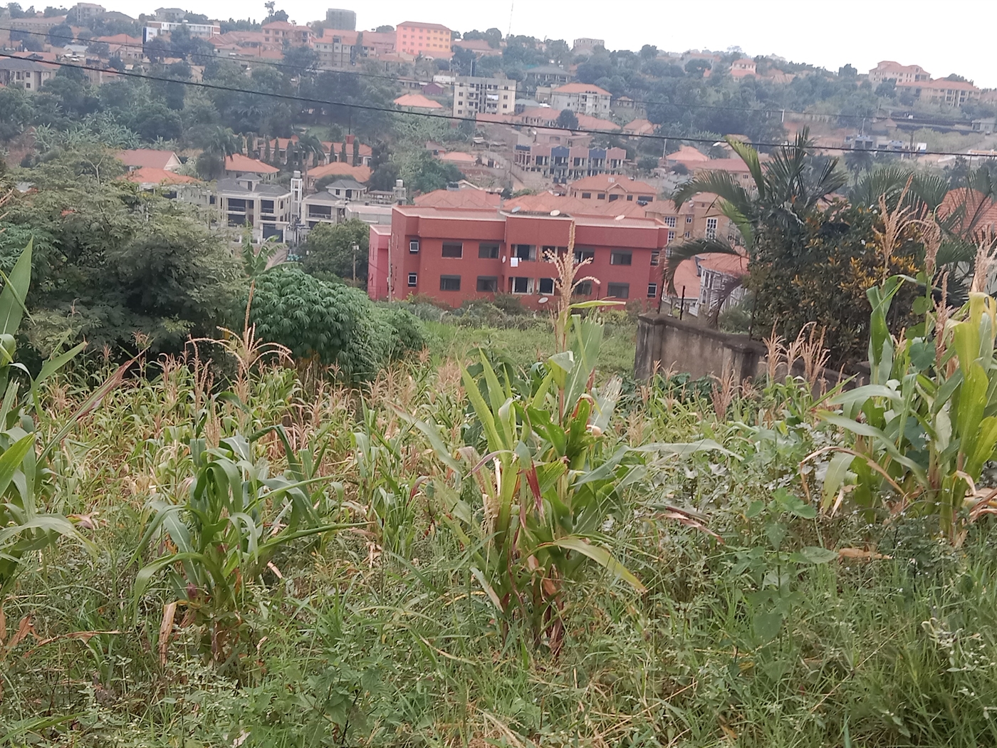 Commercial land for sale in Kyanja Kampala Uganda