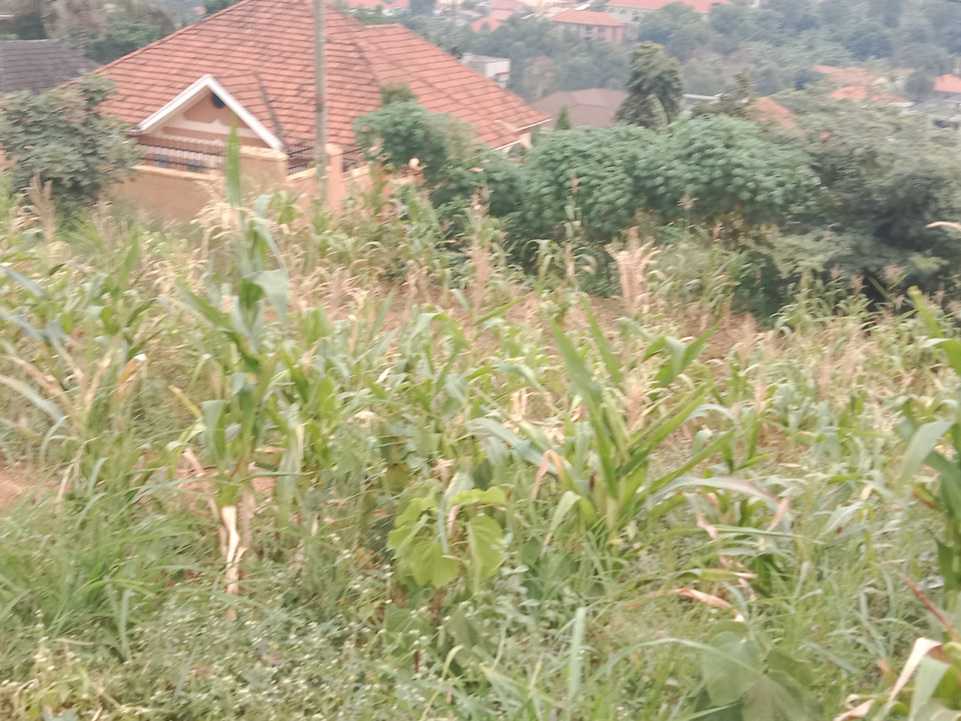 Commercial land for sale in Kyanja Kampala Uganda