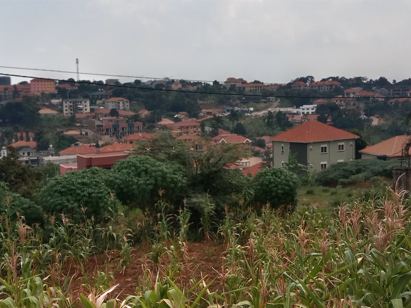 Commercial land for sale in Kyanja Kampala Uganda