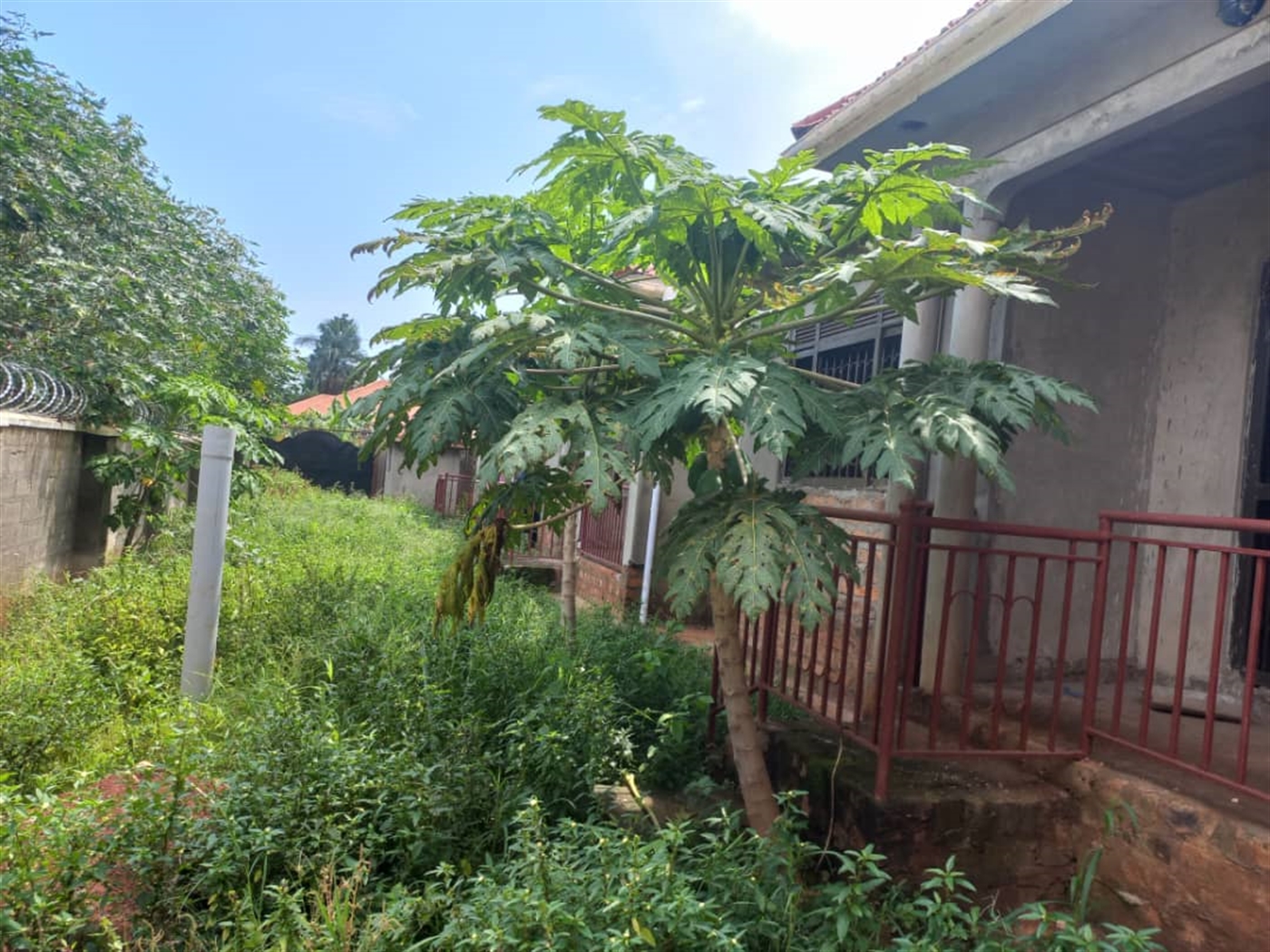 2 bedroom Rental units for sale in Munyonyo Kampala Uganda